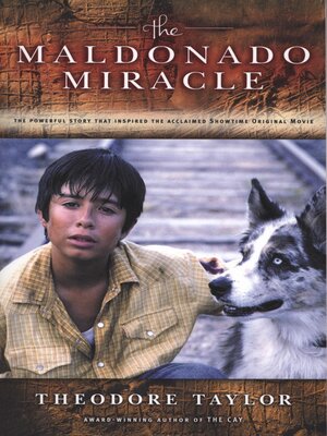 cover image of The Maldonado Miracle